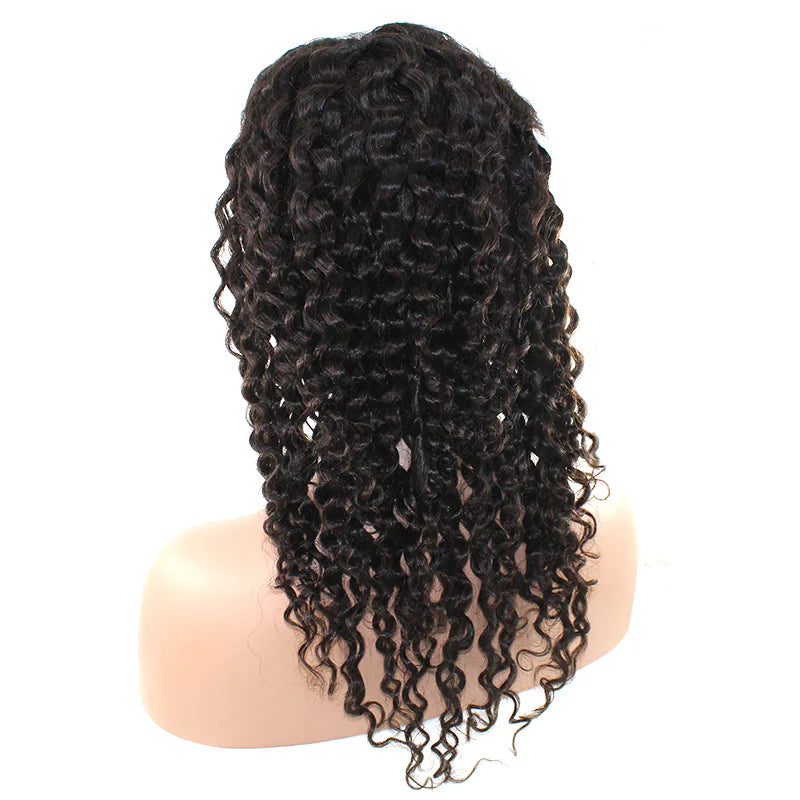 Pretty Fyne Hair Curly Hair Wig