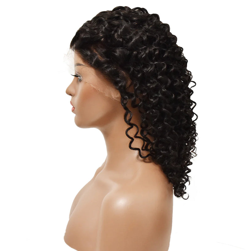 Pretty Fyne Hair Curly 13x6 HD Human Hair Wig 200% High Density