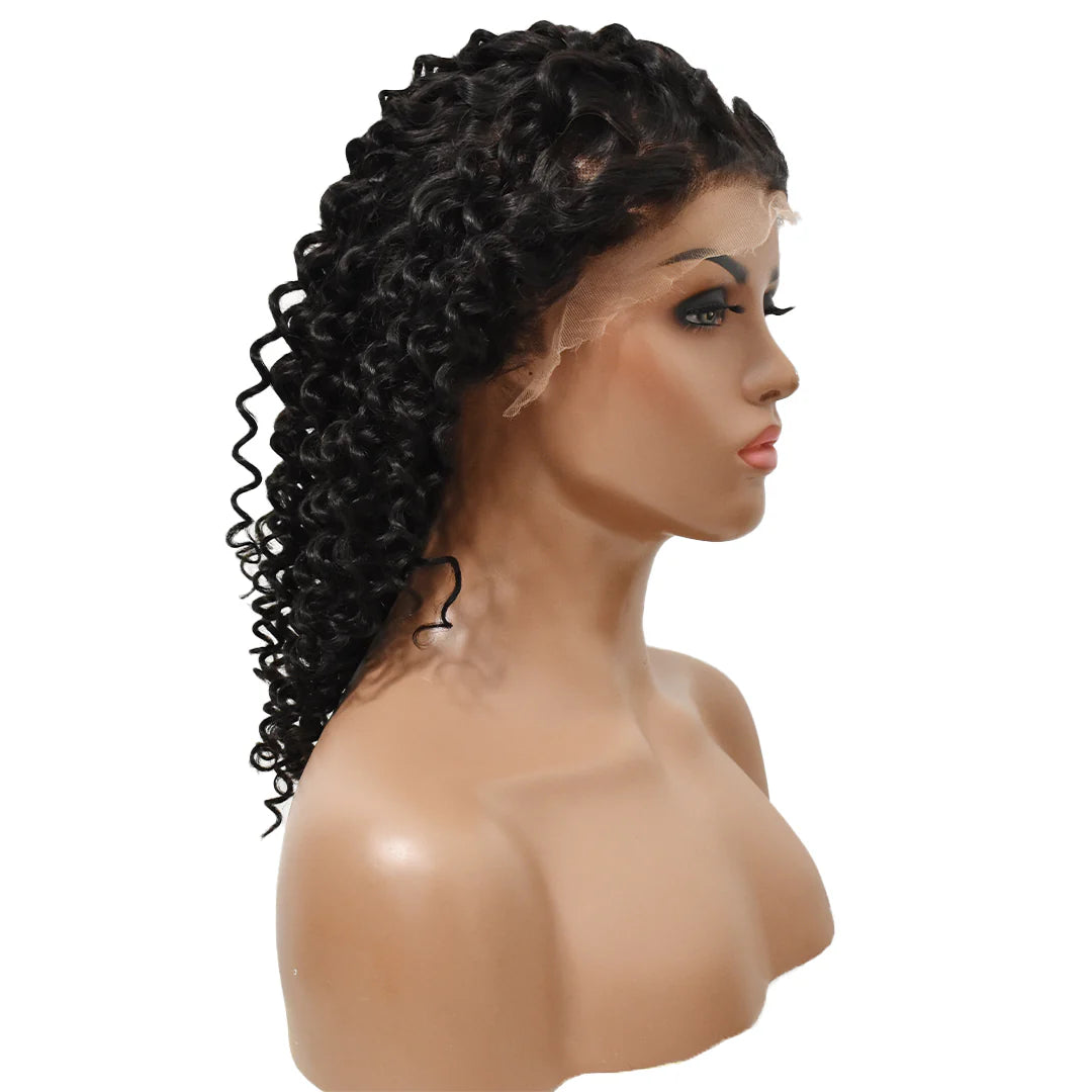 Pretty Fyne Hair Curly 13x6 HD Lace Front Wigs Human Hair Wig 200% High Density
