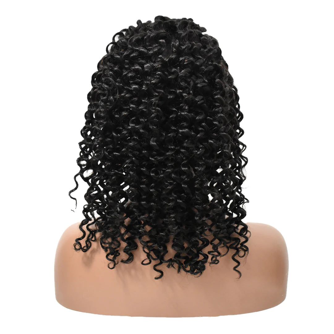 Pretty Fyne Hair Curly 13x6 HD Lace Front Wigs Human Hair
