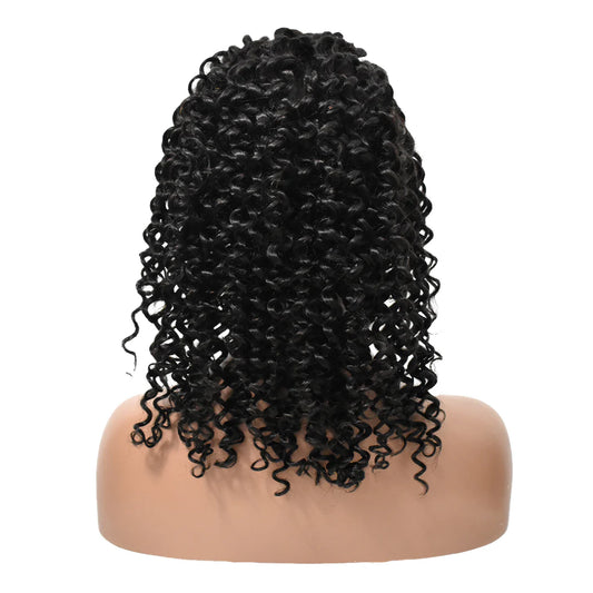Pretty Fyne Hair Curly 13x6 HD Lace Front Wigs Human Hair