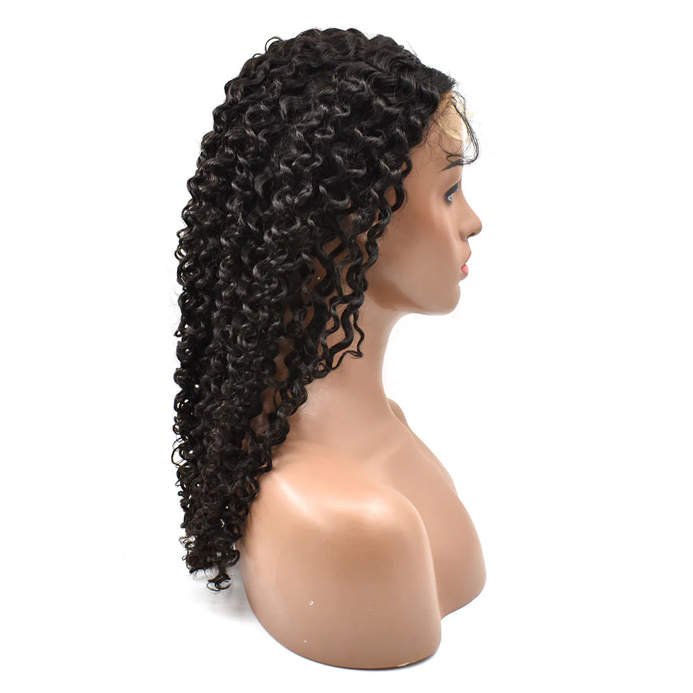 PrettyFyne Hair Curly 5x5 HD Lace Closure Wigs Human Hair Wig 180%
